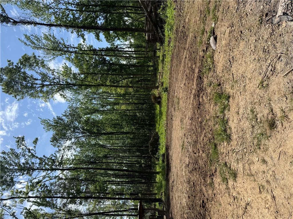 Check out this 3.10 acre with no restrictions. Mobile home friendly.
Utilities at the street . Outside of Russellville