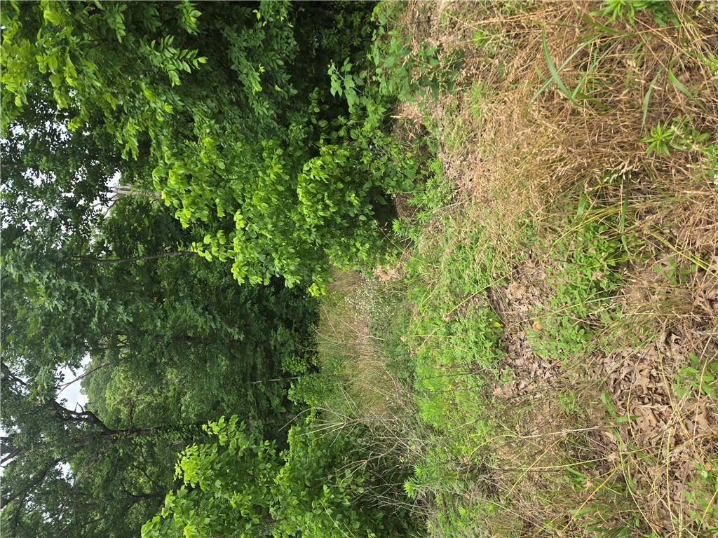 Quiet lot on the end of cul-de-sac. Bamboozled trail directly behind the lot.