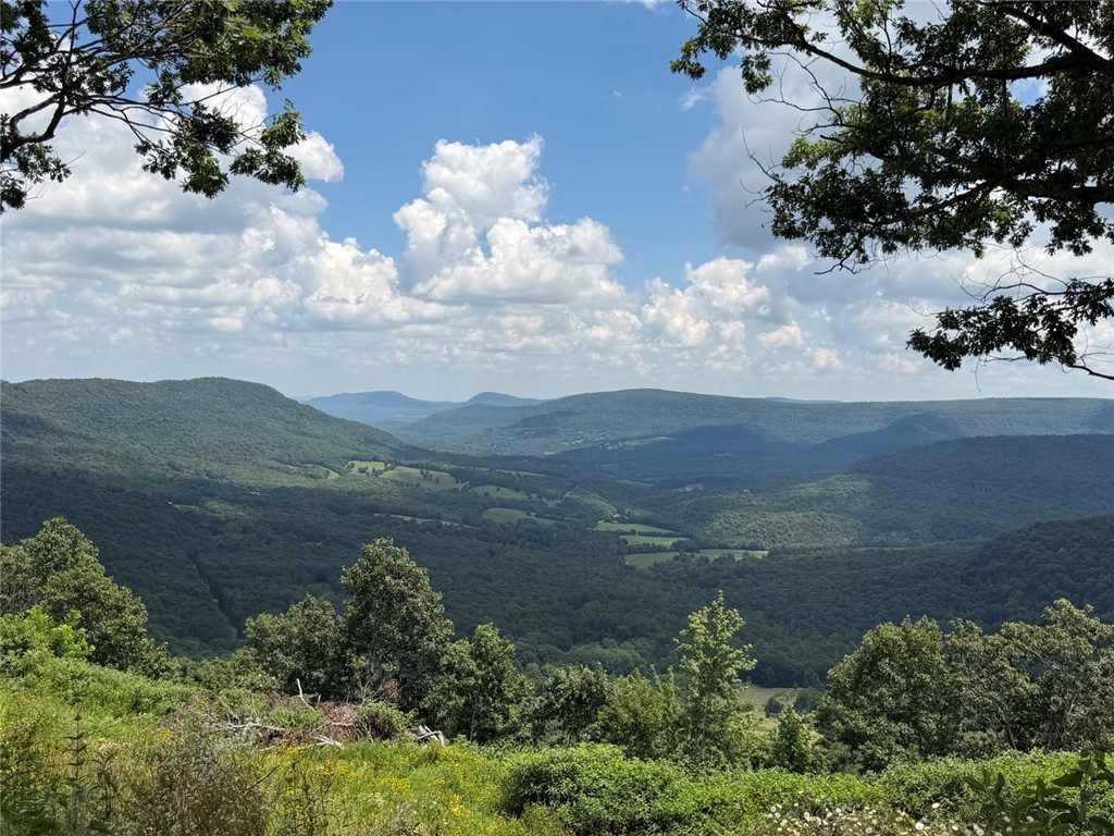 Build your Ozark getaway on this beautiful 1.41-acre lot just off Scenic Highway 7 in Jasper, Arkansas. The property has been cleared and is ready to build, with power and water available. Enjoy breathtaking views of the Arkansas Grand Canyon and endless layers of Ozark Mountains stretching as far as the eye can see. Conveniently located near Jasper Square, the Buffalo National River, and numerous hiking trails, this special property offers an ideal setting for a full-time residence, vacation cabin, or nightly rental.