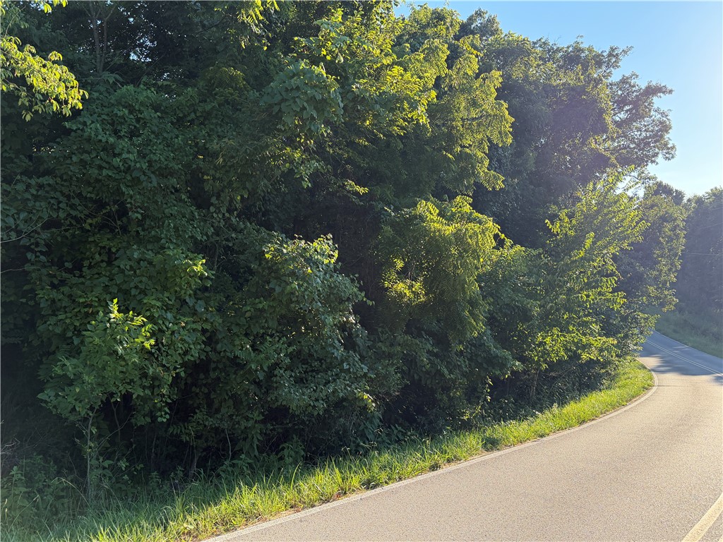 Build your dream home on this beautiful 0.40-acre lot in Bella Vista, Arkansas! This gently sloping property is ideally located next to Scottsdale Golf Course, offering a peaceful setting with scenic surroundings. Enjoy easy access to golf, nearby trails, lakes, and all the amenities Bella Vista has to offer. A great opportunity to own a well-located lot in a desirable community.