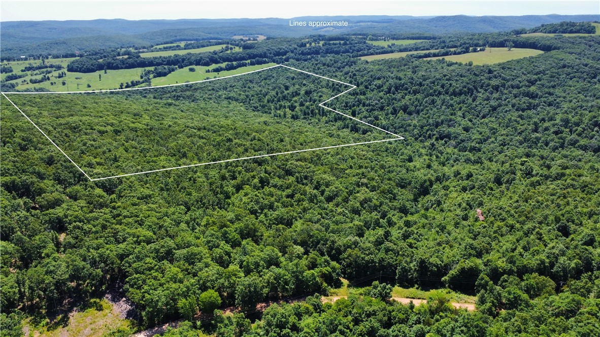 Approx. 100 wooded acres located 3 miles north of Highway 16 near Boston, AR, on Madison 3345 between Boston and Venus. Electricity and rural water are available at the county road. Access is via a +/- 400-yard easement along a private road. The property features mature hardwoods, young regeneration, cedar glades, scattered pines, and approximately 950 yards of Mitchell Branch, creating excellent wildlife habitat. Bear, deer, and turkey are abundant, making this an outstanding hunting and recreational property.
The terrain includes gently rolling ridges and hollows with a few bluff areas. The northeast corner adjoins the Kings River Natural Area, providing access to about 40 acres of public land connected to nearly 1,200 additional conservation acres. Nearby Ozark National Forest land, including a 380-acre tract just 400 yards north, offers exceptional opportunities for hunting, hiking, and outdoor recreation. 

Survey of the property and access easement to be completed prior to closing.