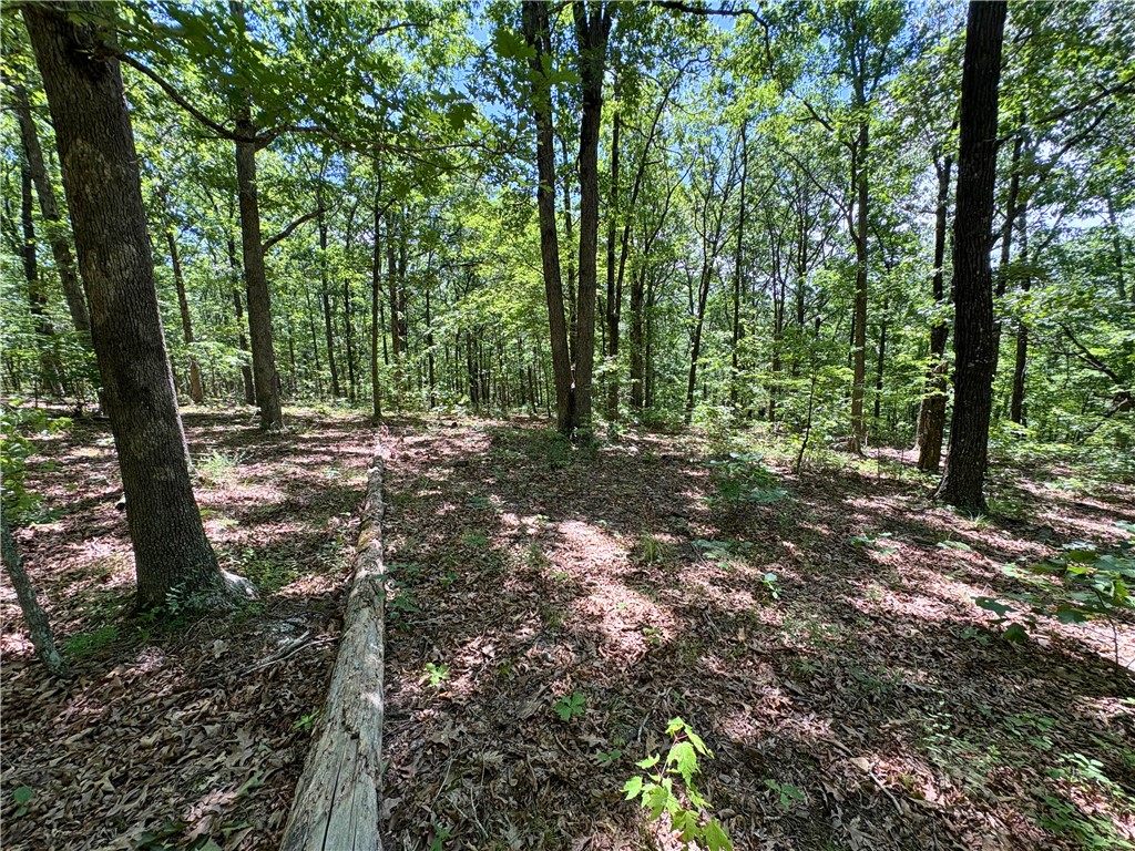 11-14-25 - Land