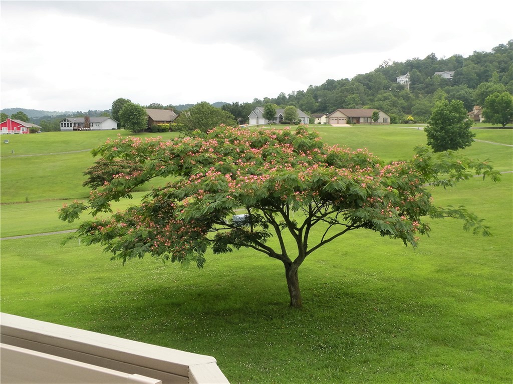 Unit 111 Holiday Island - Residential