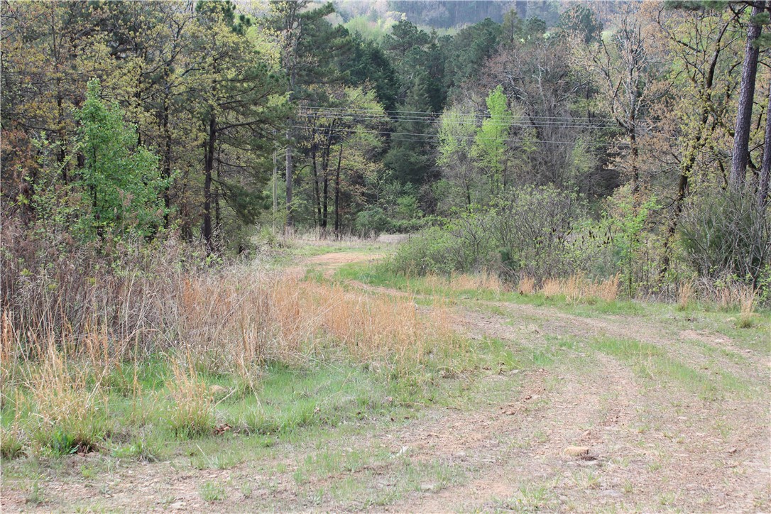 40+/- Hunting Property close to Blue Mountain Lake

Situated one mile north of Blue Mountain Lake on Hog Thief Valley Road, this 40-acre timber tract is an ideal location for hunting enthusiasts. The property features a predominance of hardwood timber, interspersed with pine and cedar. A cleared area is suitable for establishing a camper setup or a permanent residence. Established trails extend east and west from the clearing, providing convenient access to the majority of the acreage. Several stand sites are already prepared for use.

The property boasts varied topography and provides impressive views of the Ouachita Mountains to the south. Complete with a private, gated entrance, this parcel fulfills the requirements for both a premier hunting tract and a secluded homesite..