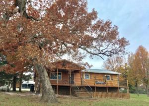 Beautiful country setting for this cozy open floor plan home. Updated kitchen has plenty of cabinet space plus a large pantry and stainless appliances. Bonus mudroom. Attic Fan. Fireplace insert. 30x50 barn along with a 36x12 shed. Nice size stocked pond. Fenced and ready for a few horses. 1 1/2 hours to Fayetteville and only 1 hour to Branson MO.