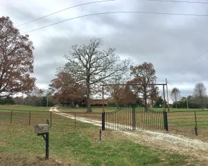 Mountain Springs - Residential