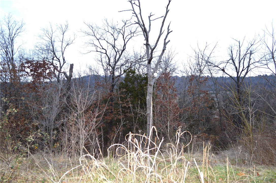 Deerpath Estates Ph II - Land