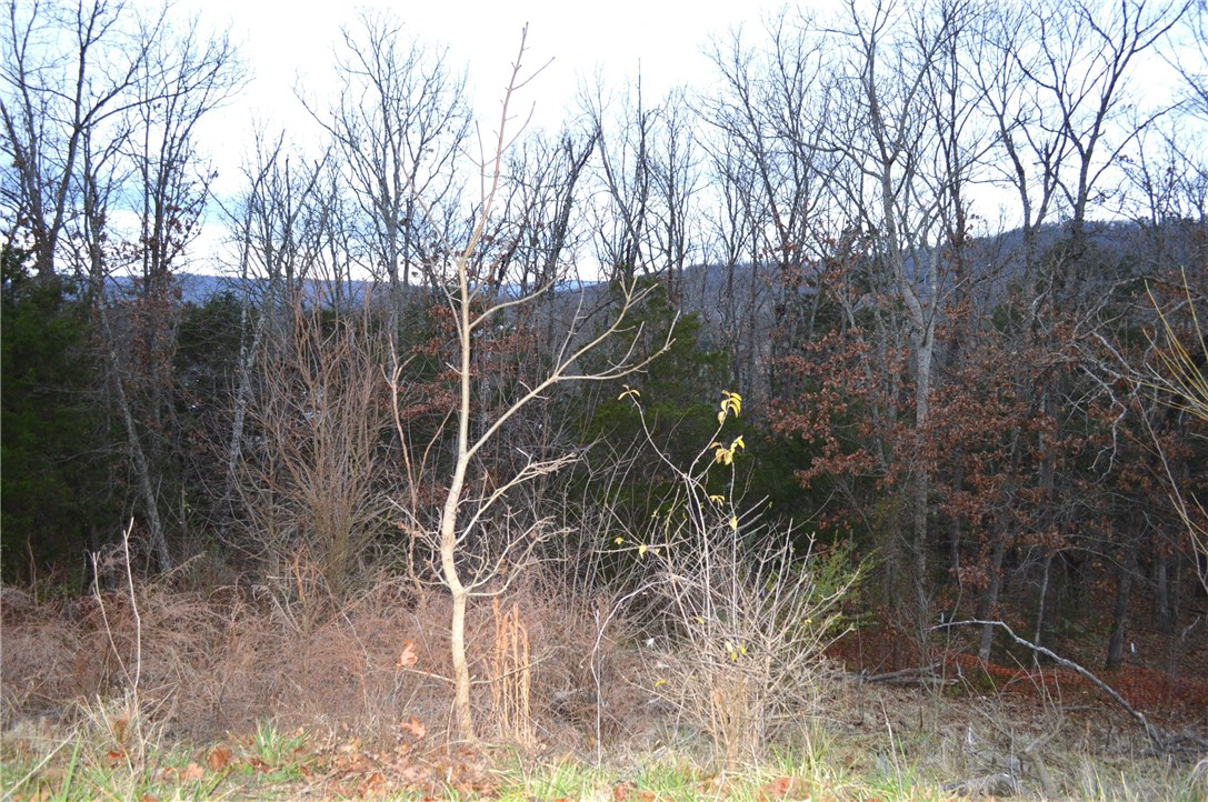 Deerpath Estates Ph II - Land