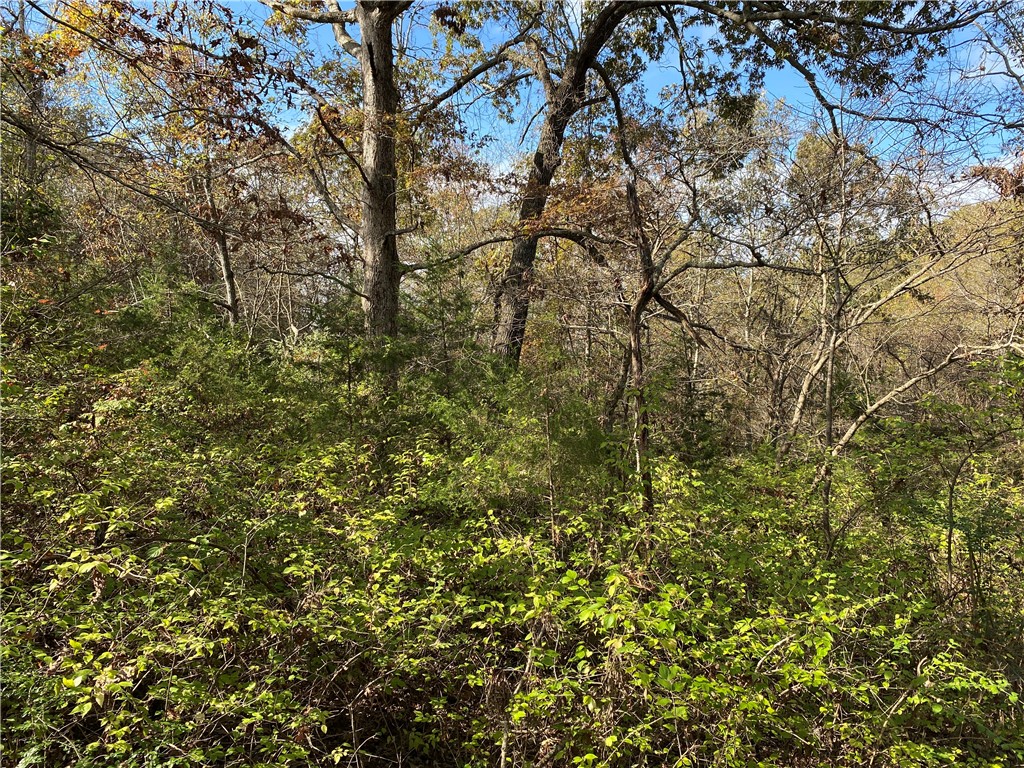 Meadowlake Estates - Land
