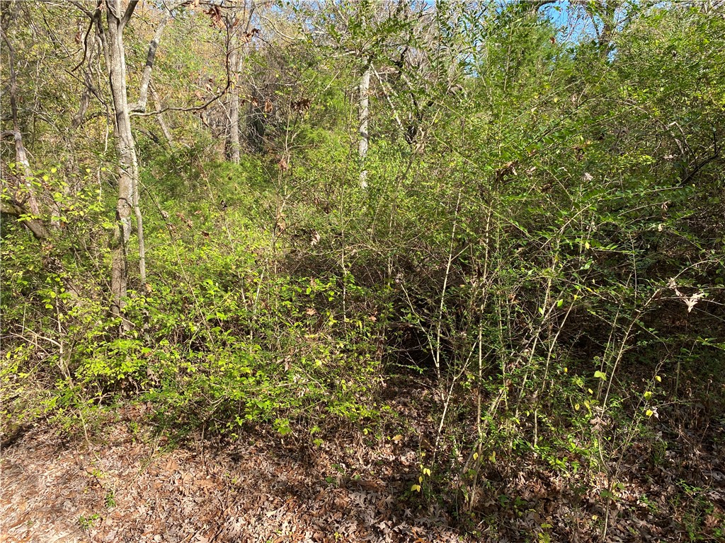 Meadowlake Estates - Land