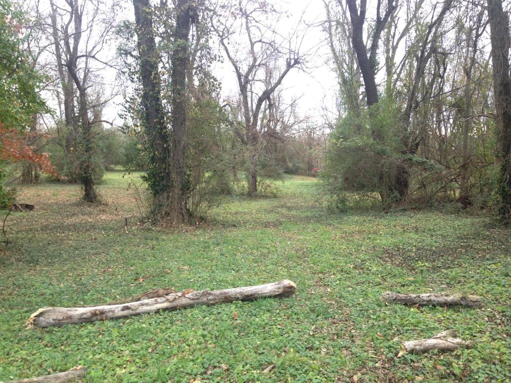 Indian Hill - Land