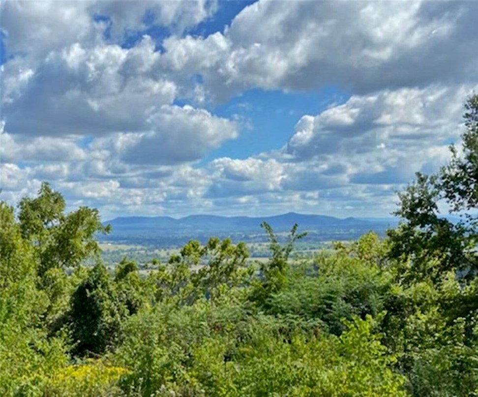 MILLION DOLLAR VIEW looking over Gaither Valley.   There is 700 highway frontage (2 acres m/l) with the view and ( either off-grid living OR drill well and hookup to electric from the other 4 acres on Black Jack   There is rural water access from those 4 acres on  Mountain Road and Black Jack Road.  There are lots of trees to cut.   This highway 43 goes to the head of the National Buffalo River and the area where you can usually see lots of elk, rent canoes, get gas, camping and floating supplies and hiking information to trails.   The view is priceless! Check it out!