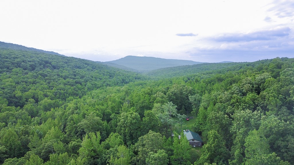 20 ACRES OF BREATHTAKING NATURAL BEAUTY
Discover your own slice of paradise with this 20-acre property, nestled deep in the serene Ozark Mountains. Tucked deep in the Ozark Mountains between Crosses and Combs, this limestone home offers privacy and natural beauty. Built in 1978 with locally sourced stone, it features a mostly Open Layout, A versatile space ready for your personal touch. and a Wood-Burning Fireplace adds warmth and character to the living area. The interior is mid-remodel—new drywall is in place, but flooring is not yet installed. The home sells as-is, offering a blank canvas for a custom retreat. Surrounded by wilderness, yet still within reach of Fayetteville and NWA, it’s the perfect blend of seclusion and access.