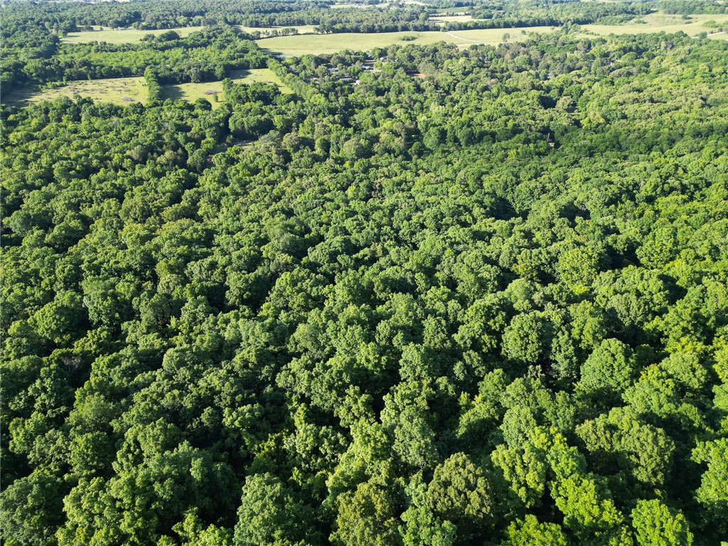 Escape to this one-of-a-kind 40± acre tract on Whiskey Creek Lane in rural Independence County, Arkansas. A 2-track road leads into a stunning landscape of terraced hillsides, towering bluffs, and unique rock formations surrounded by mature hardwood timber. Multiple species of oak provide exceptional wildlife habitat, making this property ideal for hunting, recreation, or a private getaway. With nearly 300 feet of elevation change, scenic trails, and multiple potential building sites, the property offers both beauty and versatility. Electric is already on site, and rural water is available at the road. Conveniently located just 8.6 miles from Batesville and 39 miles from Heber Springs, this rare Ozark foothill property combines privacy, natural character, and accessibility.