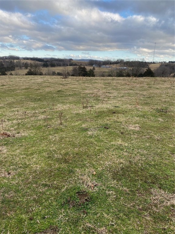 35.66 acres of open pasture land. Property has 1 pond on it with a spring next to pond. Property is fenced with 1 field used for a hay field. Property is located just minutes from Berryville, ar. This property is part of the parcel # given in the listing. More pictures coming soon. Recent new survey provided.