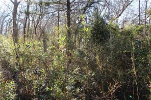 So many possibilities to renovate or build brand new. Great lot in a great location. Vacant for years, but lots of possibilities with the lot! Do not go inside. Owner takes zero liability or responsibility for risk.