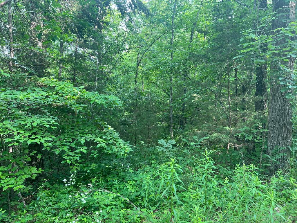 10 acres m/l. Located in Searcy County on Oakland Road. Property is all wooded with county road frontage.  Property is close to Woolum and the Buffalo National River. Would make a great location for that off the grid cabin.