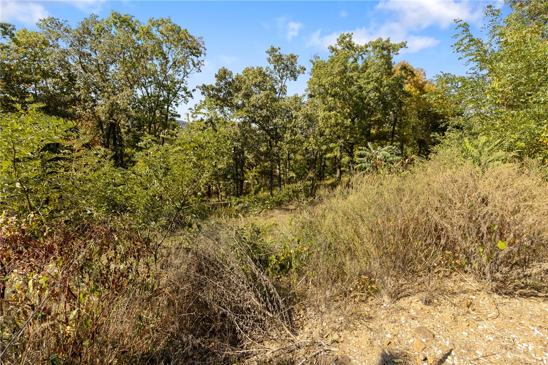 Round Mountain Estates - Land