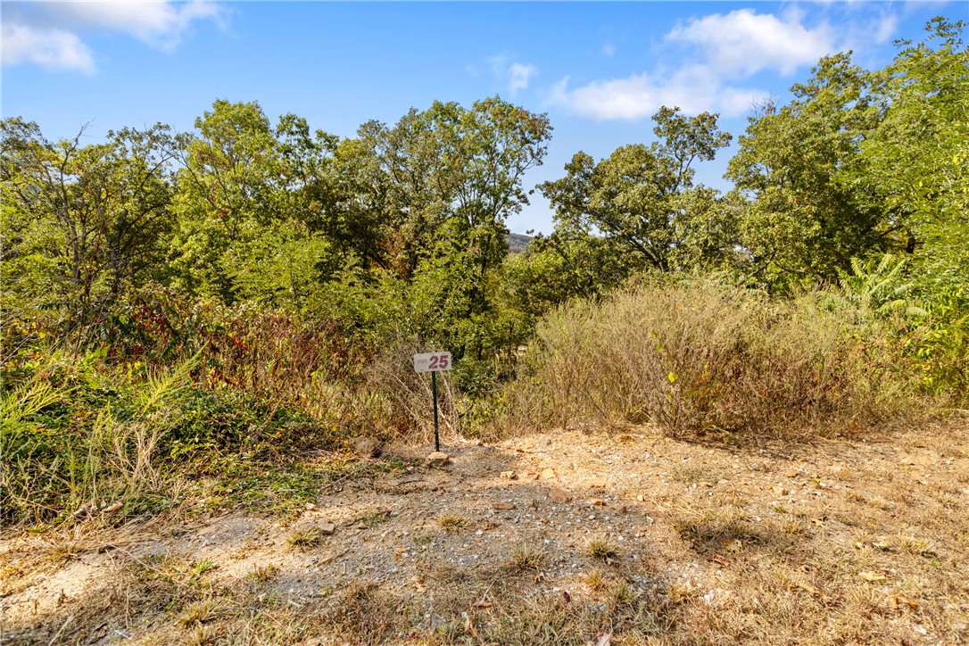 Round Mountain Estates - Land