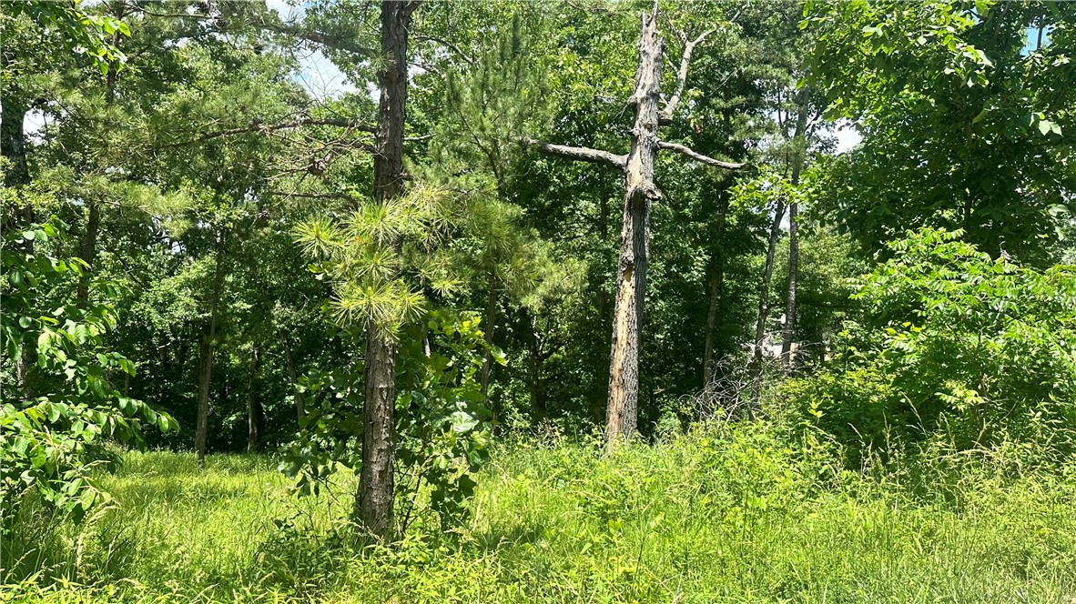 Fantastic opportunity to live near Beaver Lake! This property is a 2min drive from the nearest boat ramp. This wooded lot has a lot of potential to be the perfect site for your new home!