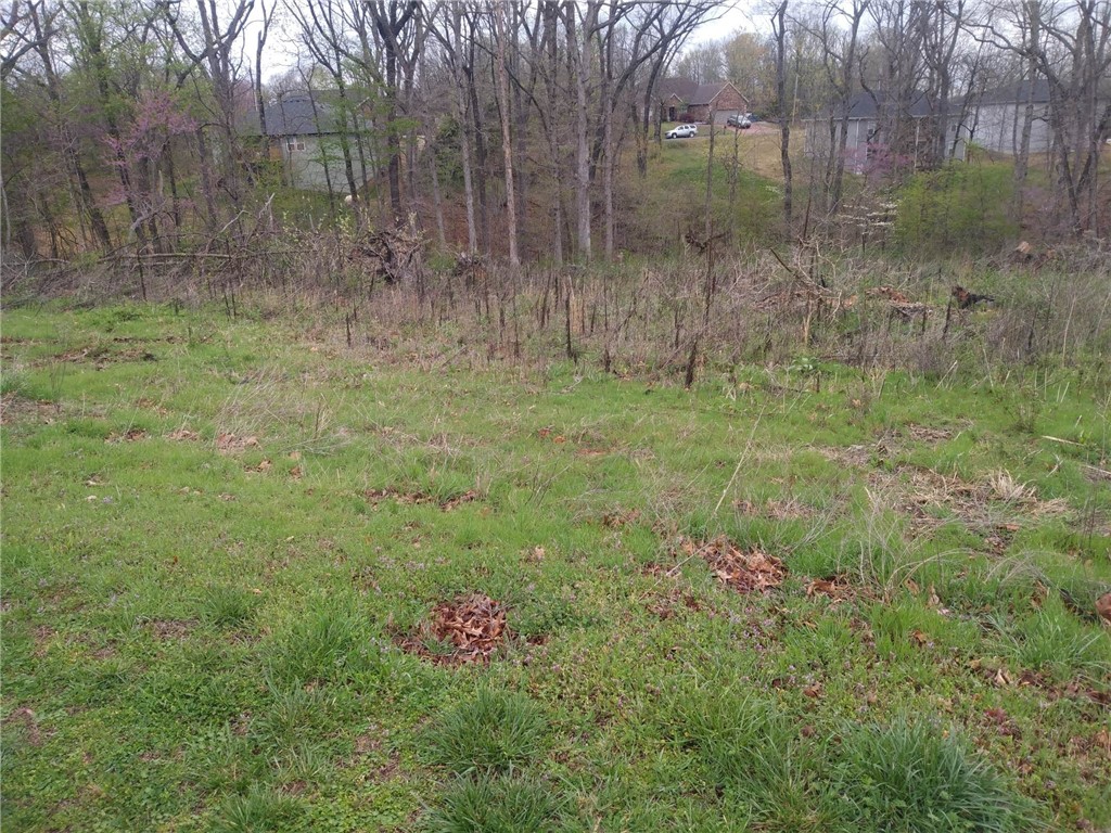Lots have a gentle slope from the road followed by flat and level making them ideal for new construction. Additionally, this property is conveniently located near the biking and walking trails of Bella Vista.