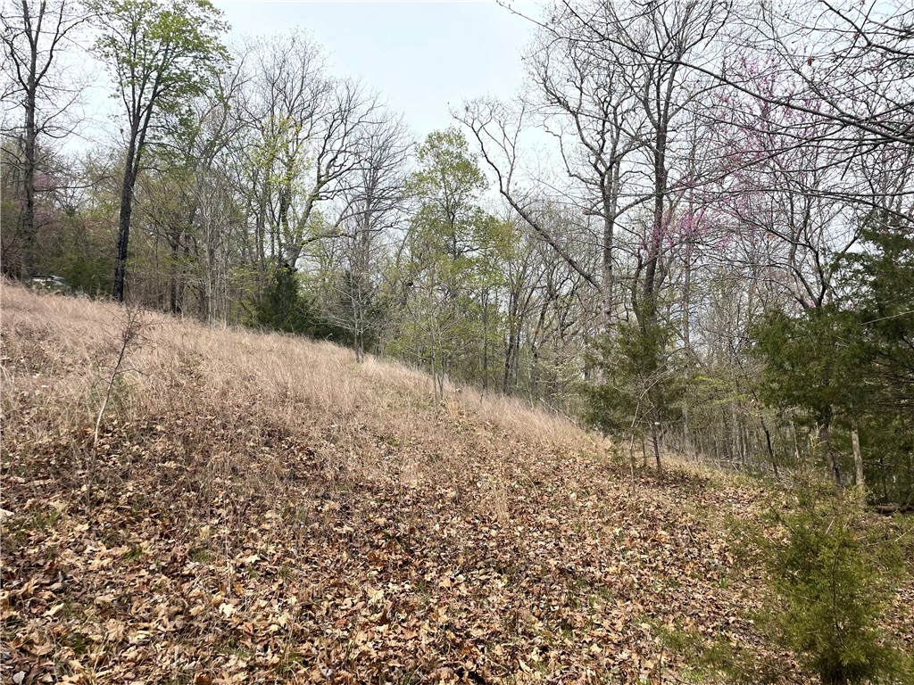 Oak Ridge Park Ph Iv - Land