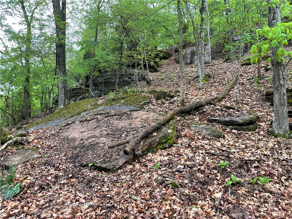 Oak Ridge Park Ph Iv - Land