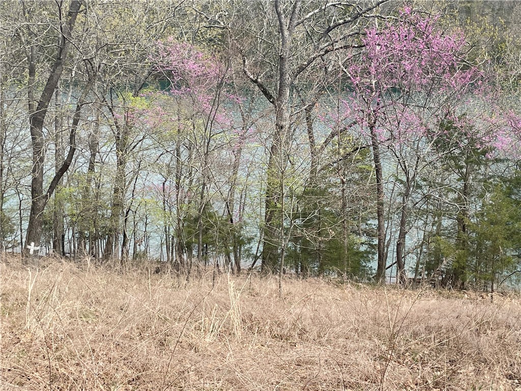 Oak Ridge Park Ph Iv - Land