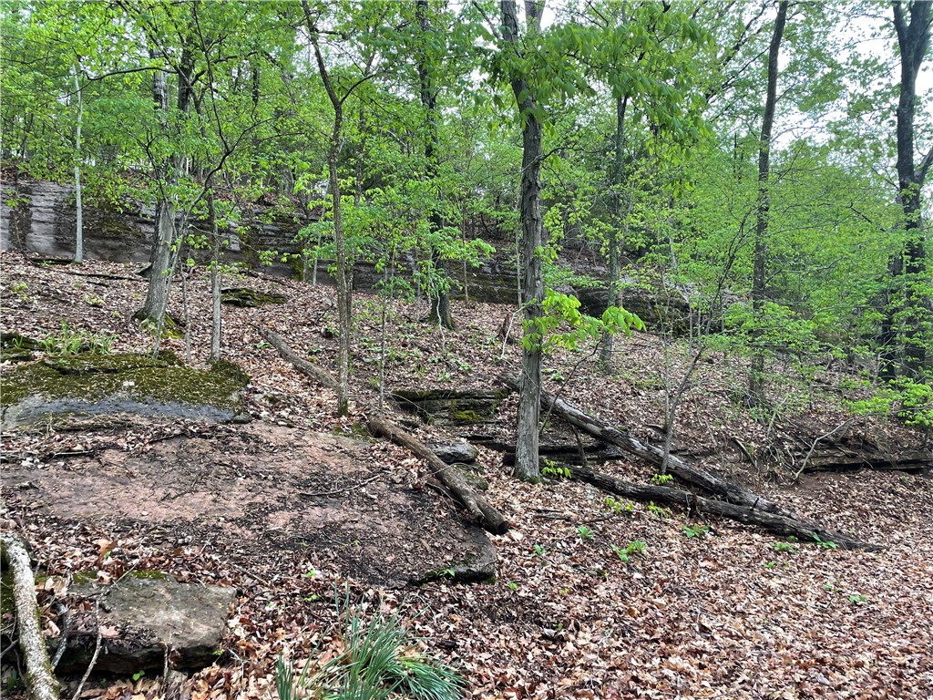 Oak Ridge Park Ph Iv - Land