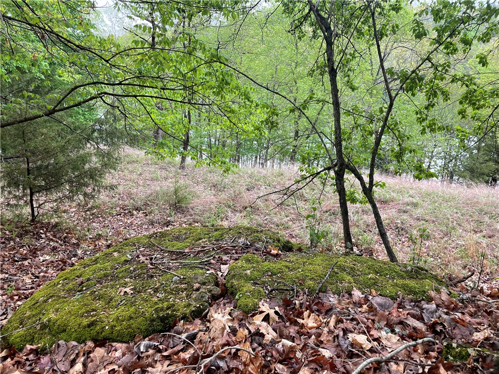 Oak Ridge Park Ph Iv - Land