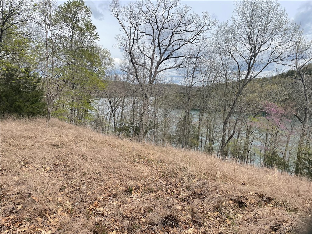 It really doesn't get much better for lake FRONT living with a BIG view!  This stunning property is just under an acre and offers over 230 feet of shore line in the front, amazing Ozark bluffs at the backside (insuring no one will build behind you), and Corp property at the end (insuring no one will build beyond you).  Truly at the end of the road.  Utilities all in place with an existing septic system, community water and underground electric.  The bonus is the permitted swim dock with an easy walk down to the water! Come take a look at the perfect spot to build on Beaver Lake!