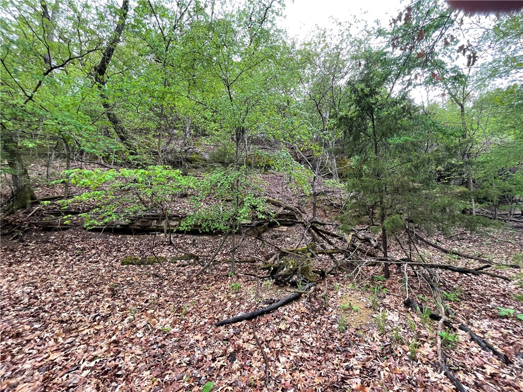 Oak Ridge Park Ph Iv - Land