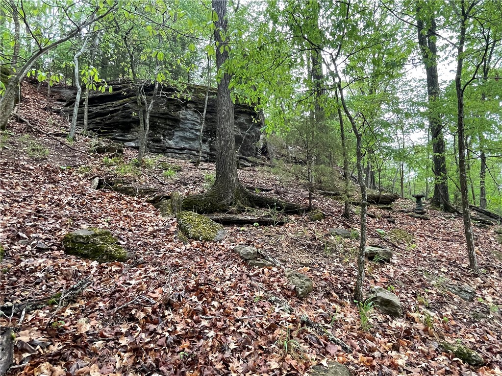 Oak Ridge Park Ph Iv - Land
