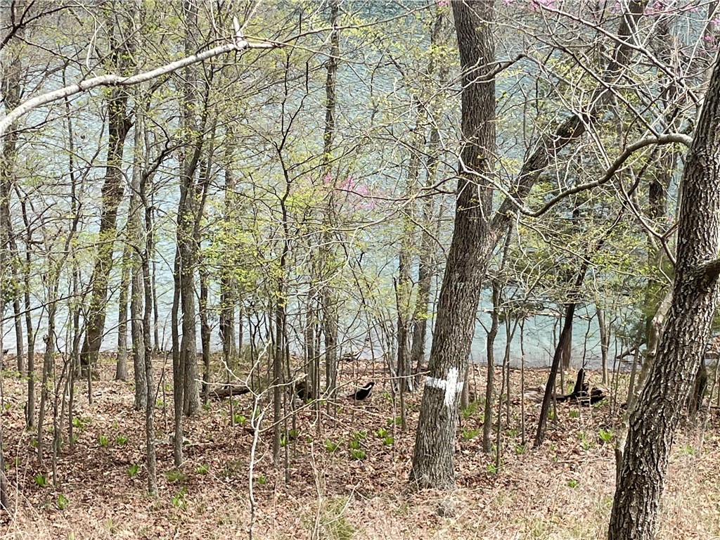 Oak Ridge Park Ph Iv - Land