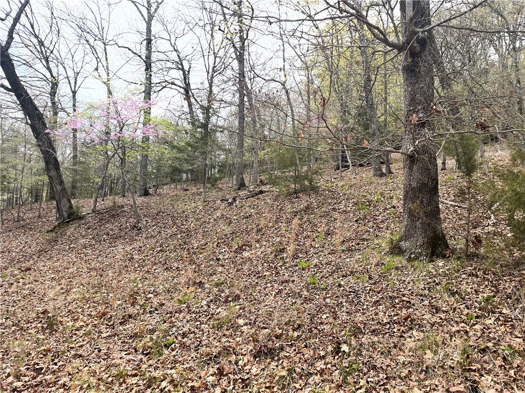 Oak Ridge Park Ph Iv - Land