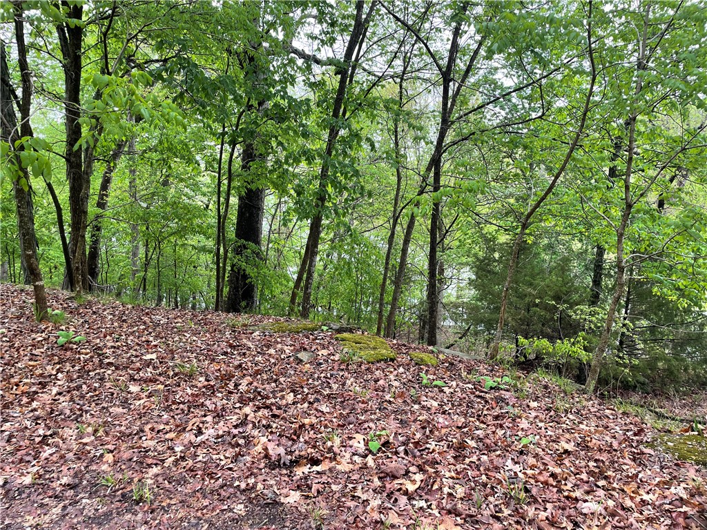 Oak Ridge Park Ph Iv - Land