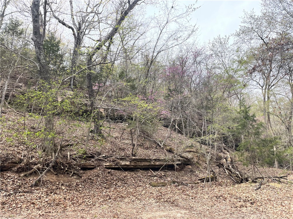 Oak Ridge Park Ph Iv - Land