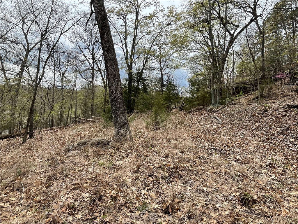 Oak Ridge Park Ph Iv - Land