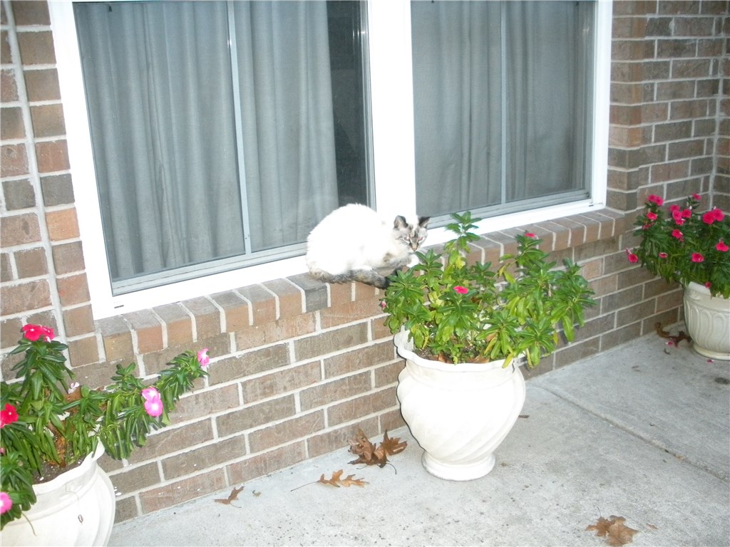 Rugby - Residential