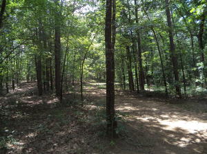 Oak Meadow Acres PH 1 & 2 - Land