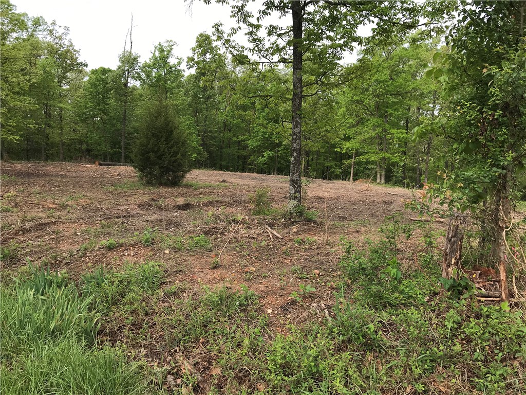 This lot has been cleared and ready for your new home.  2.61 acres close to town.  Beautiful setting with an abundance of wildlife for your pleasure.  The lot has already had the perc test completed as well as the survey.