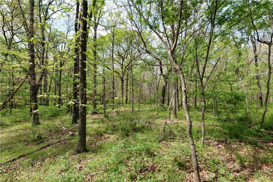 Ozark Estates - Land
