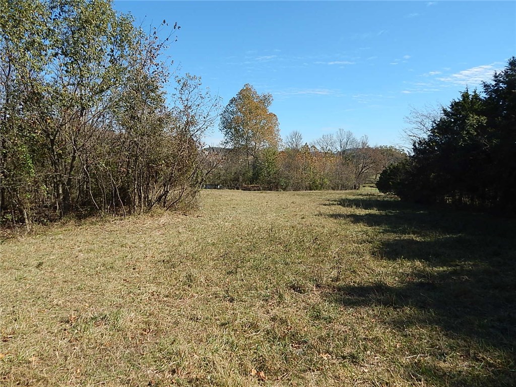 Berryville Outlots - Residential