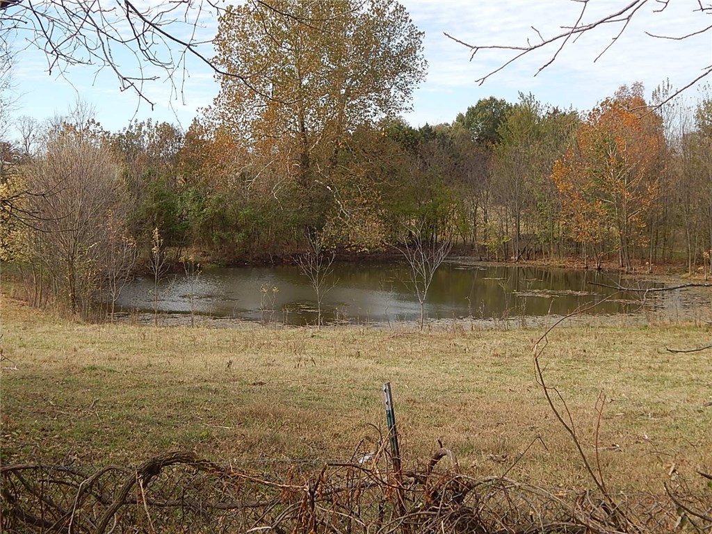 Berryville Outlots - Residential