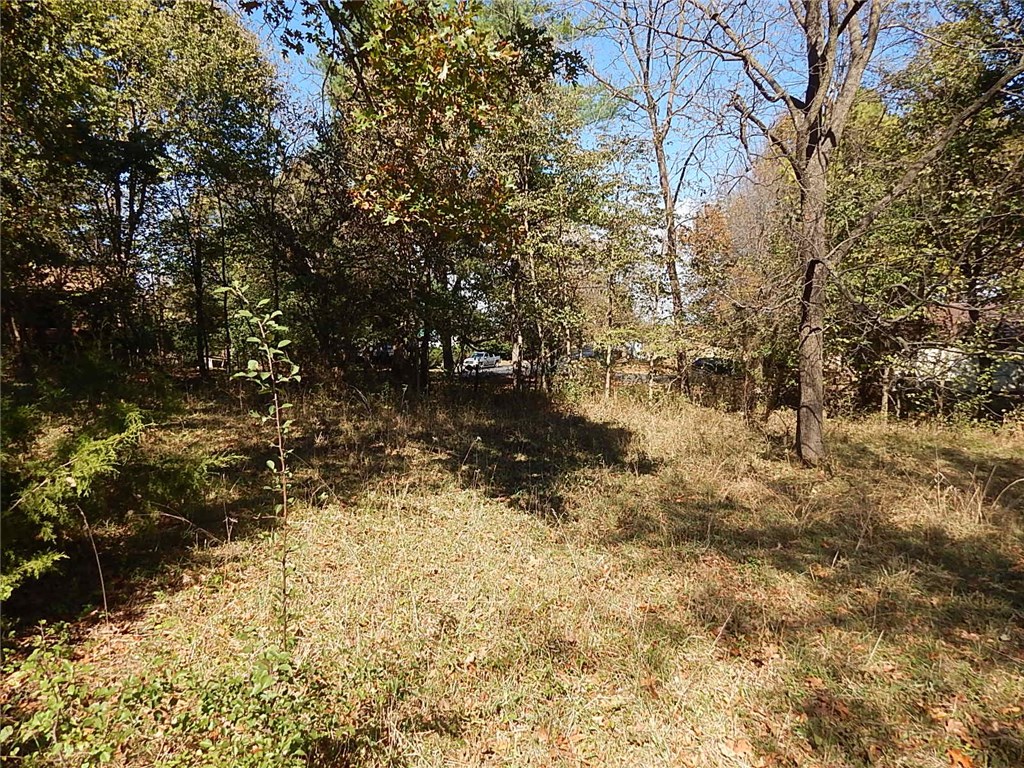 Berryville Outlots - Residential