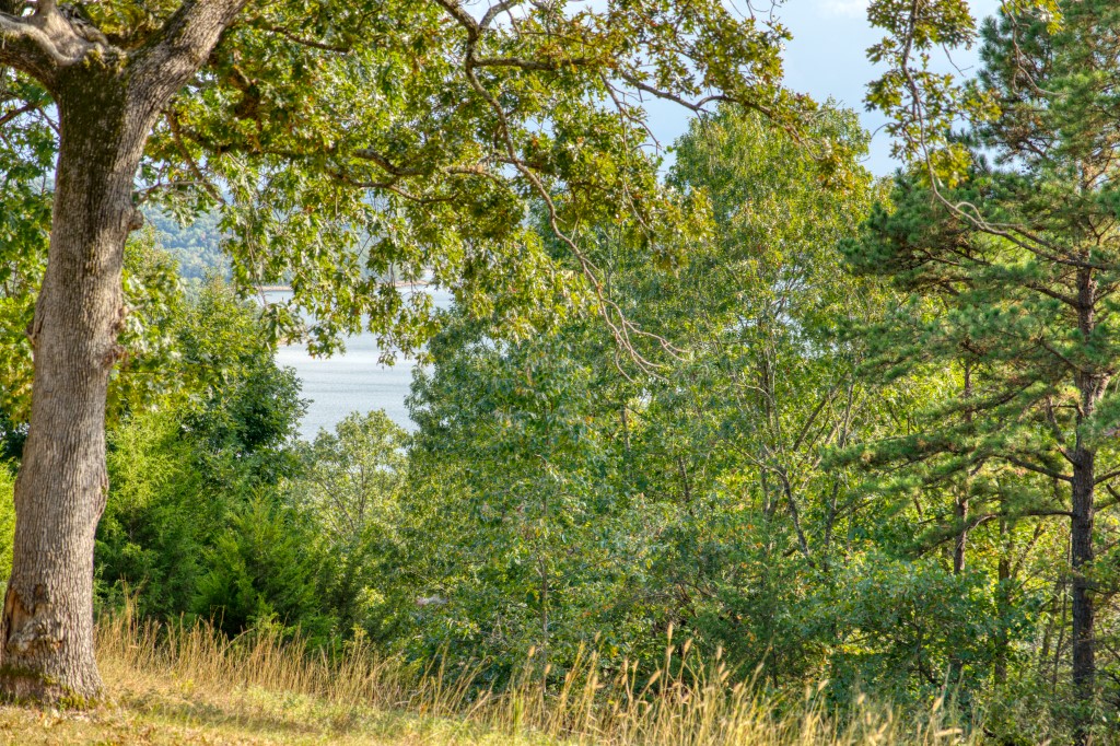 Beaver View Estates - Land