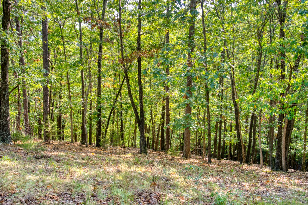 Beaver View Estates - Land