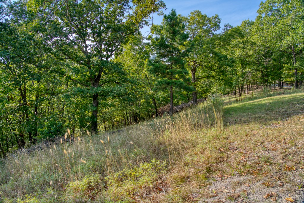 Beaver View Estates - Land