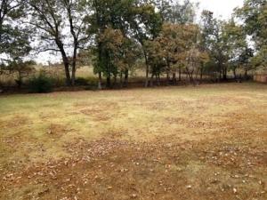 Estates HSN County Club - Land