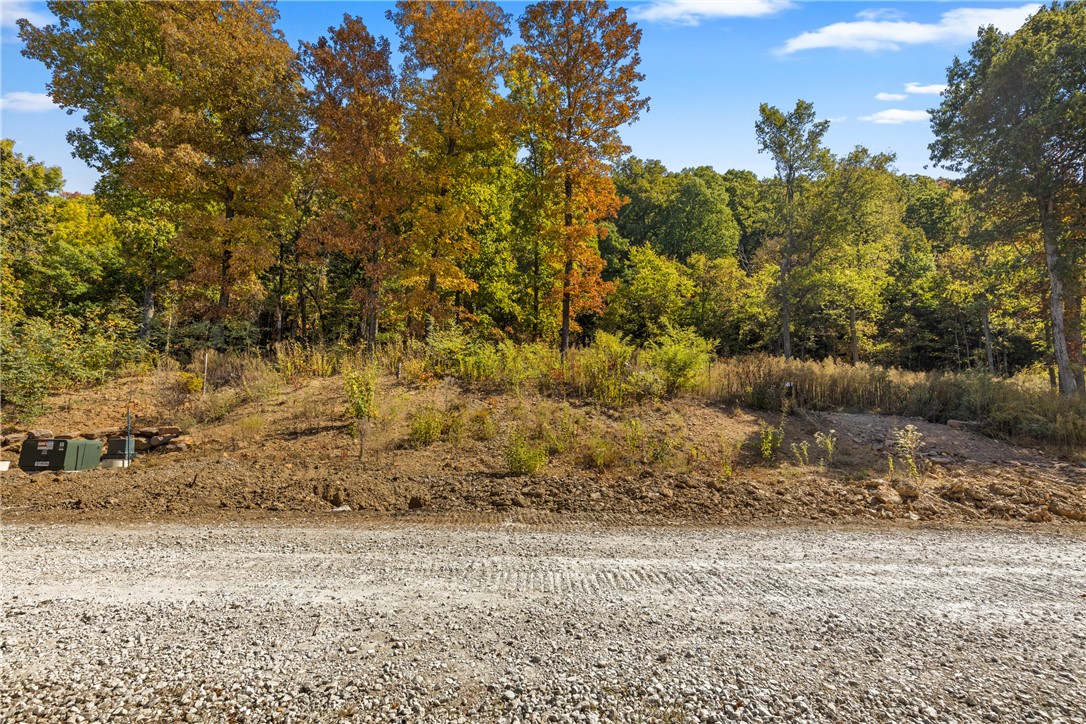 Round Mountain Estates - Land